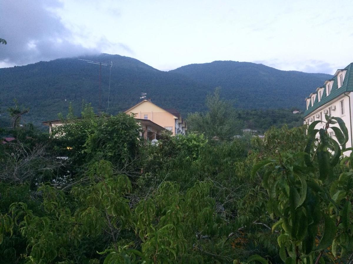 Guesthouse Mira Гагра Екстериор снимка