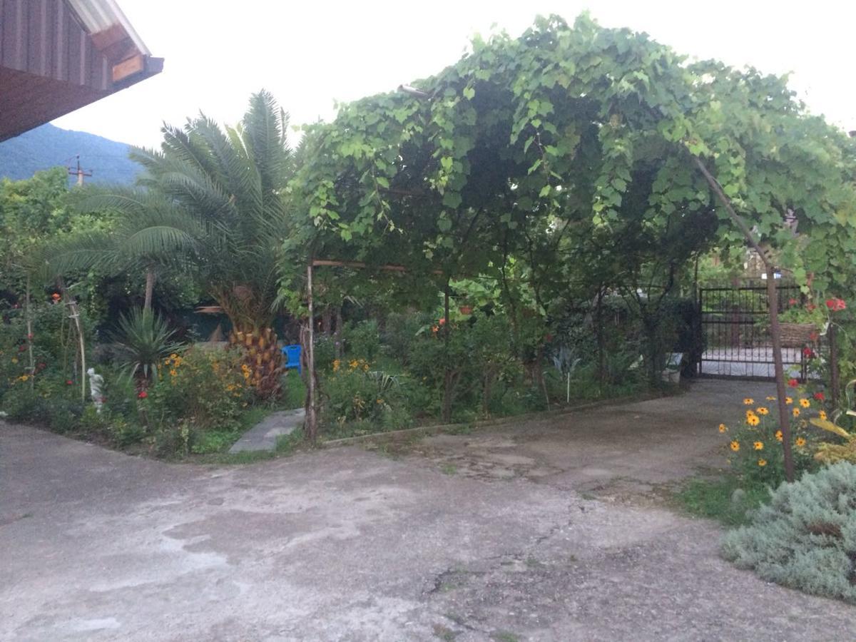 Guesthouse Mira Гагра Екстериор снимка