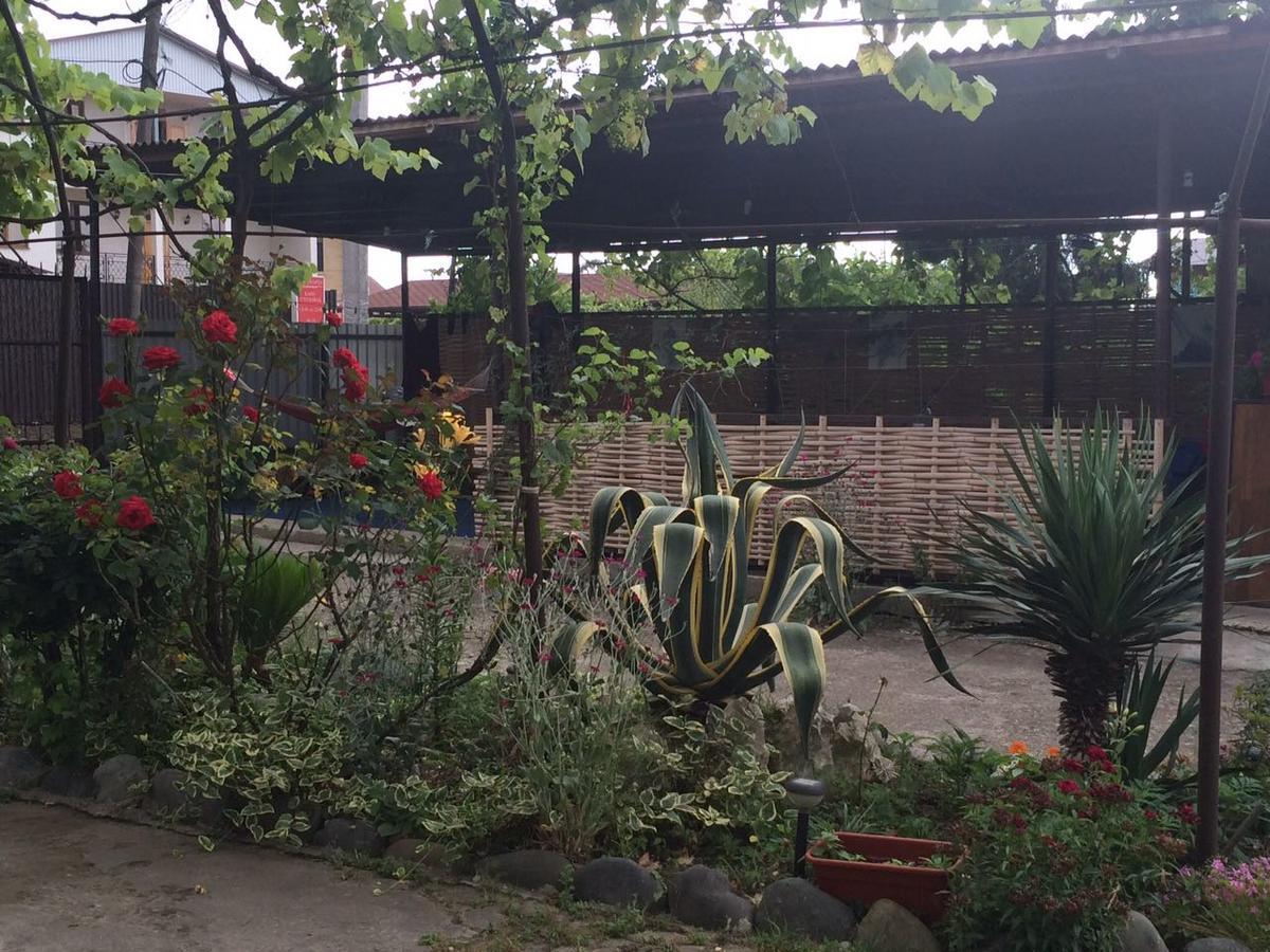 Guesthouse Mira Гагра Екстериор снимка